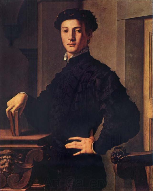 BRONZINO, Agnolo Portrait of a young man Spain oil painting art